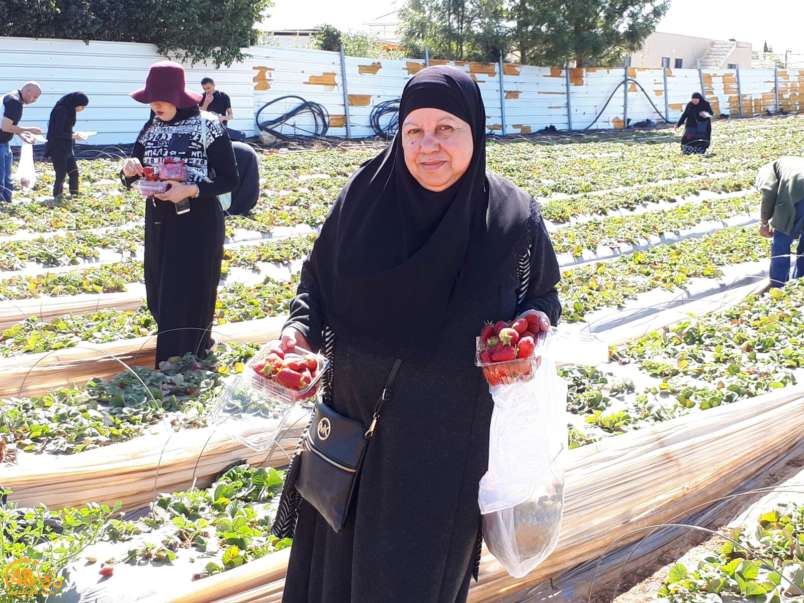 ab7bableaqsaa3 (38).jpg